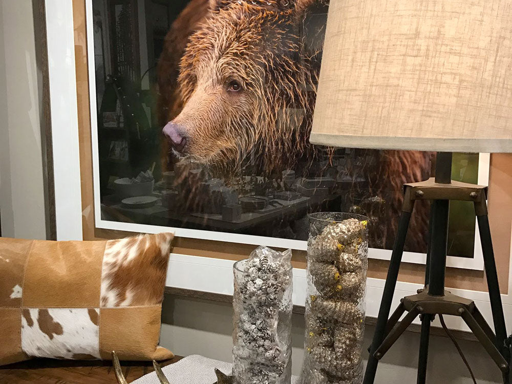 Welcome to our new website!